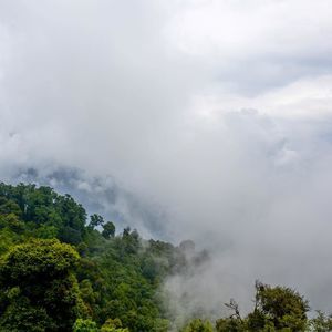 Meet your Posher, Connie